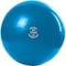 Gofit Professional Grade Core Stability Ball (55 cm; Blue) GF-55PRO - alternate 1